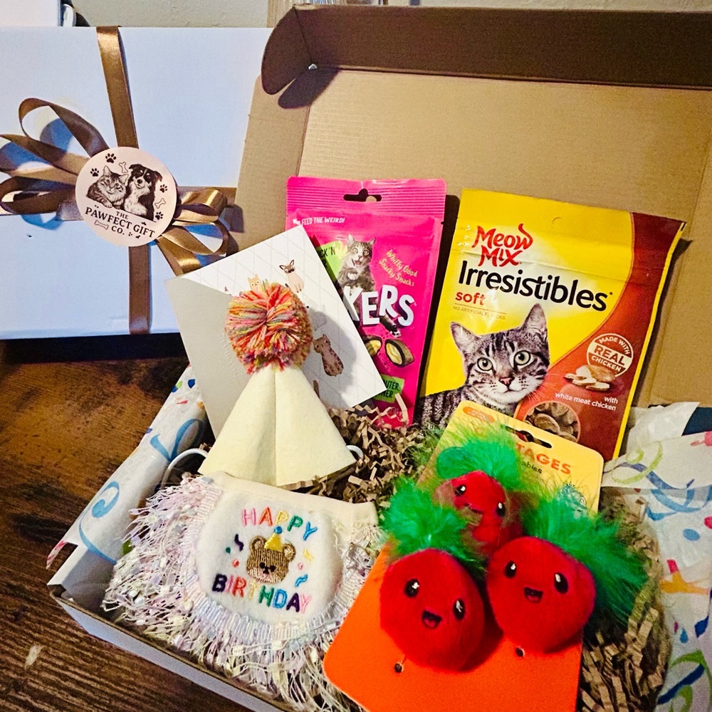 Cat Gift Box with Toys and Treats